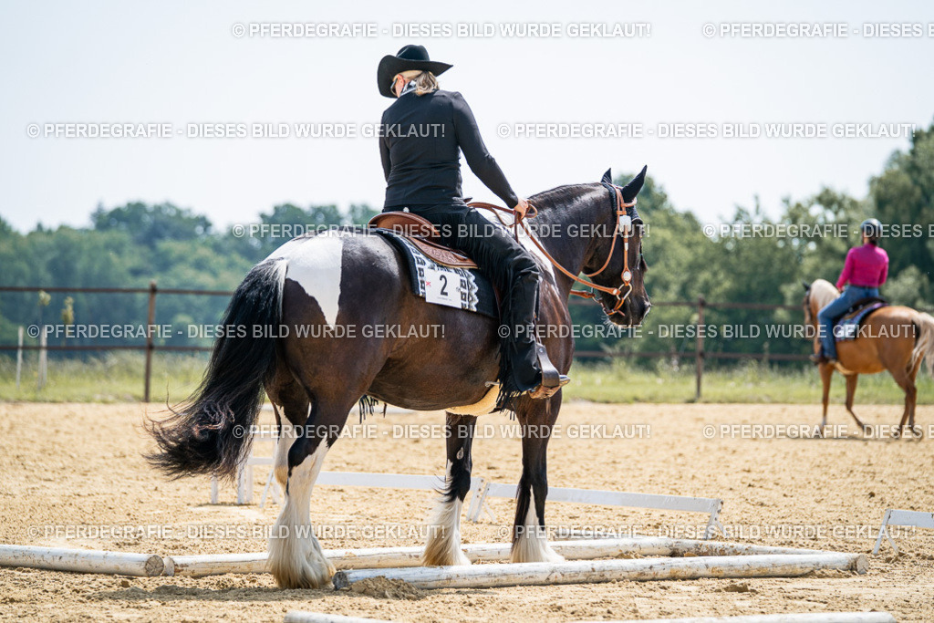 DSC00240 | Pferdegrafie