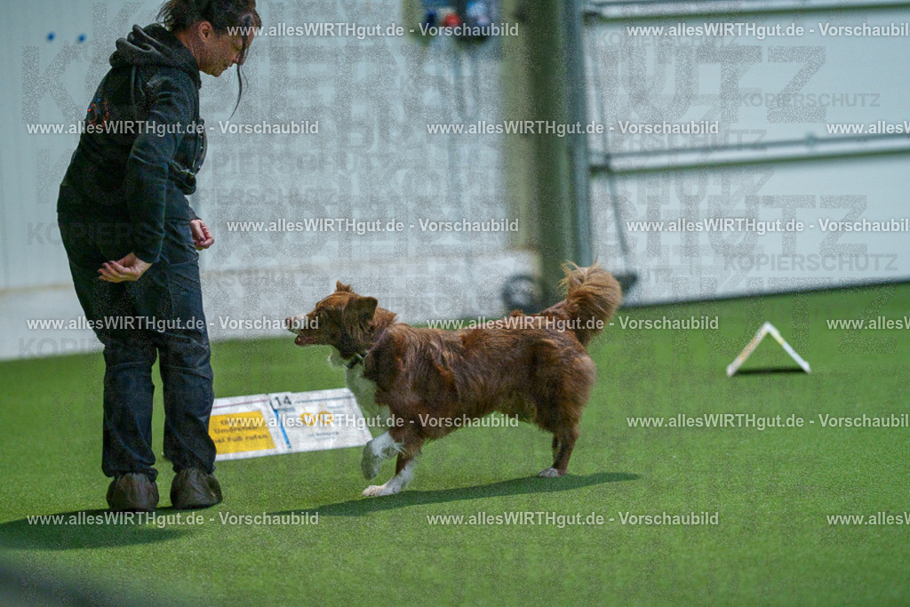 7R501734 | Professionelle Tierfotografie in Mönchengladbach von Daniel Wirth (allesWIRTHgut). Liebevolle & natürliche Bilder von Hunden & Katzen für unvergessliche Erinnerungen.