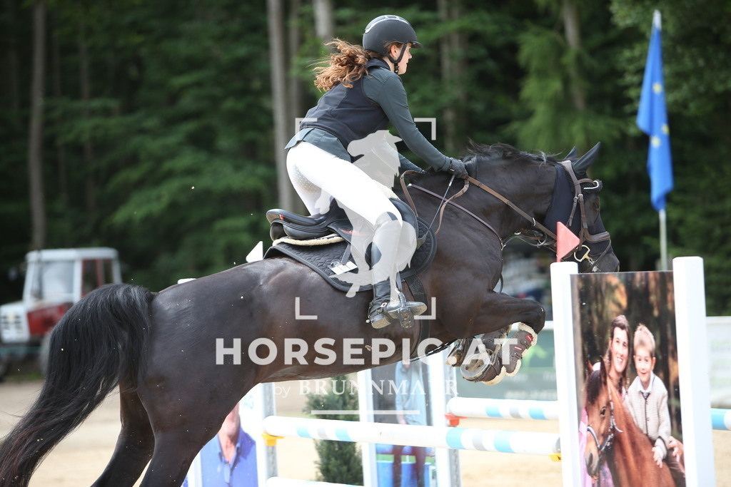PP013122 | Willkommen bei Brunnmayr - Design & Fotografie – Ihrem Spezialisten für Reitturniere und Pferdeveranstaltungen in Oberösterreich, Salzburg und Bayern! Seit über 17 Jahren sind wir leidenschaftlich dabei.