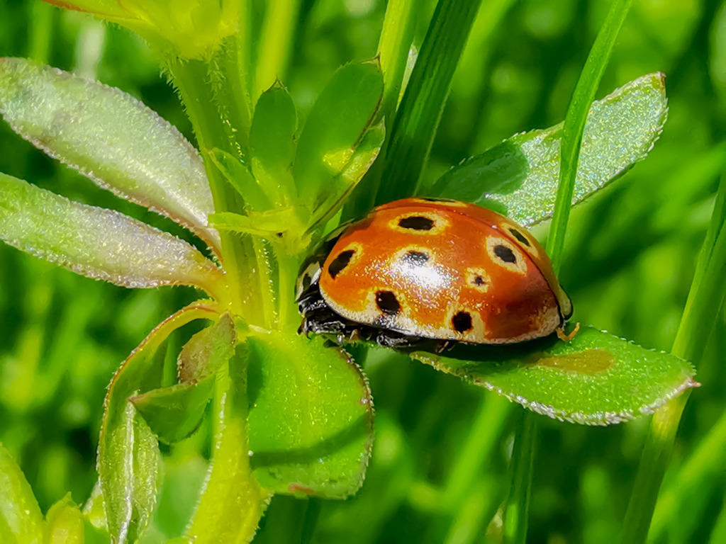 PSX_20230515_223436 | mtkfoto_ - Realisiert mit Pictrs.com