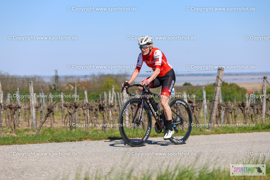 IMG_9593 | @sportshot_your_pictrs #yourpictures#roadtowm2029 #nrm #neusiedlerseeradmarathon #neusiedlersee #neusiedlerseetourismus #burgenland #mörbisch #nrm26 #burgenlandtourismus #voglundco #poweredbyburgenlandtourismus #radsport #rad #marathon #ucigranfondo #visitburgenland #ucigranfondoworldseries