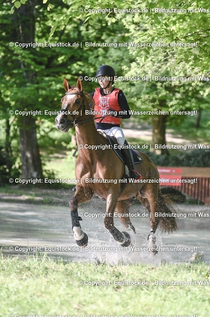 20250517_CCI2_Gelände_0328 | Foto: Thomas Hartig