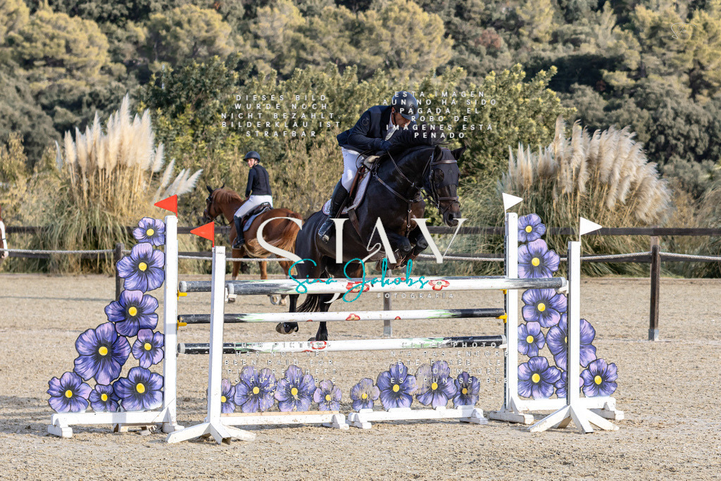 IMG_0592 | s-jay-photography - Realisiert mit Pictrs.com