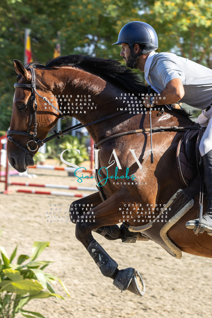 IMG_9248 | s-jay-photography - Realisiert mit Pictrs.com