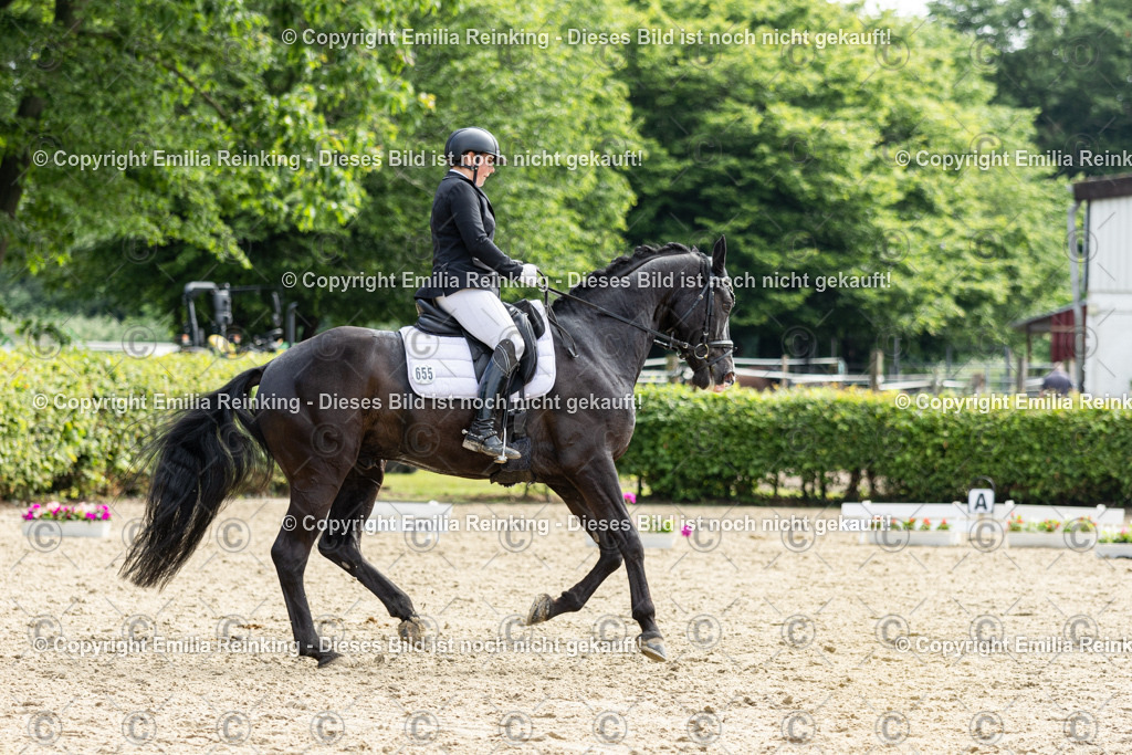 CL5A5502 | Emilia Reinking Fotografie - Realisiert mit Pictrs.com