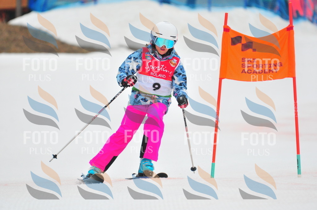 C0369 | holidayphoto