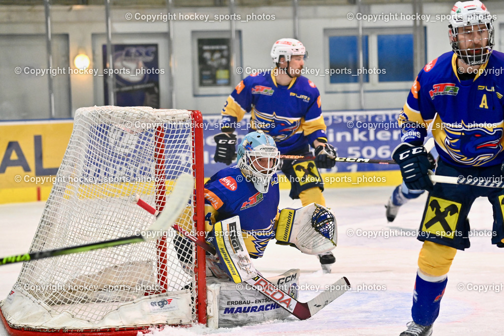 ESC Steindorf vs. HC Kufstein Dragons 25.2.2023 | #24 Hechenberger Thomas, #83 Wilhelm Tobias