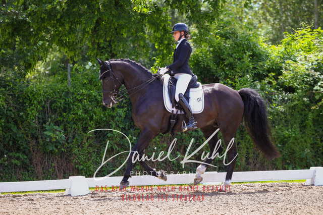 DKP41136 | Turnierfotos kaufen im Webshop von Daniel Kuhl Photography – entdecke professionelle Reitsportfotos aus Turnieren & Events. Hochwertige Turnierbilder online bestellen & sichern. Jetzt Fotos von Reitsportturnieren kaufen!