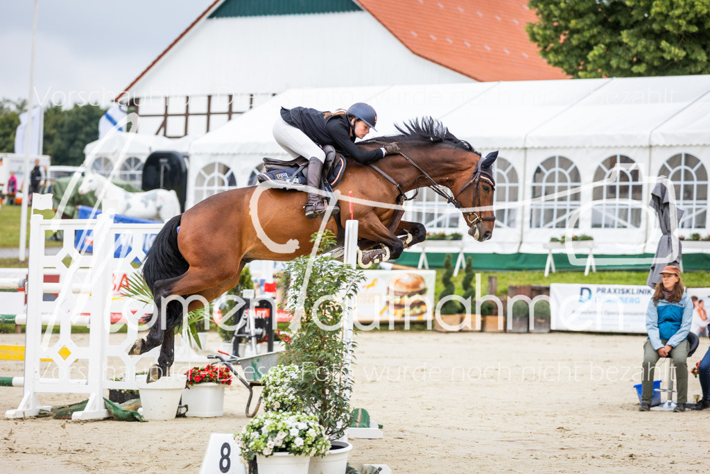 BHO-2PhSpr-M-036 | MomenTaufnahmen Pferdesportfotos