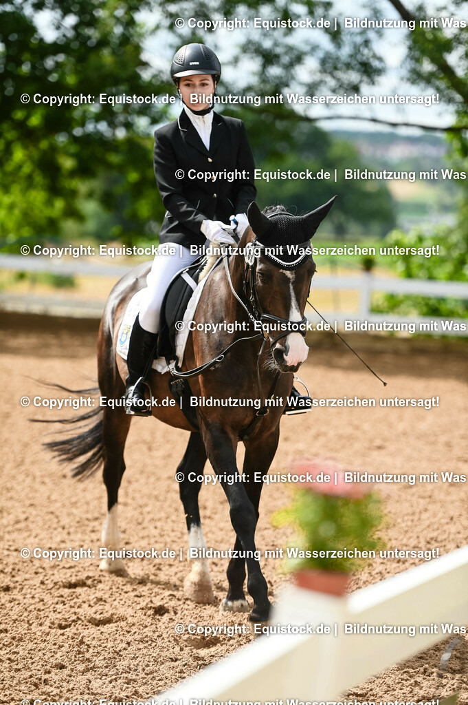 20230716_10-1_Reiter-WB Schritt - Trab - Galopp_0122 | equistock