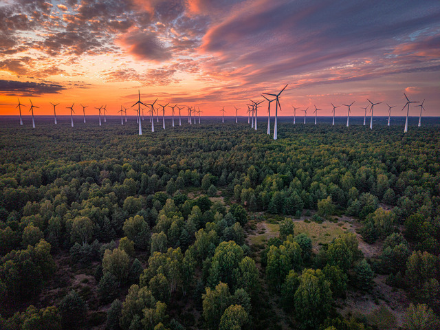2026-07-10_21-25-14_000 | Windkraftanlagen über einem Wald im Abendlicht mit farbenfrohem Himmel, Teltow-Fläming, Brandenburg, Deutschland - Realisiert mit Pictrs.com