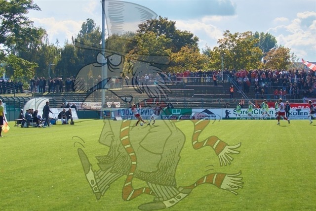 BFC Dynamo vs. FSV Zwickau 074 | mythos-online-redaktion