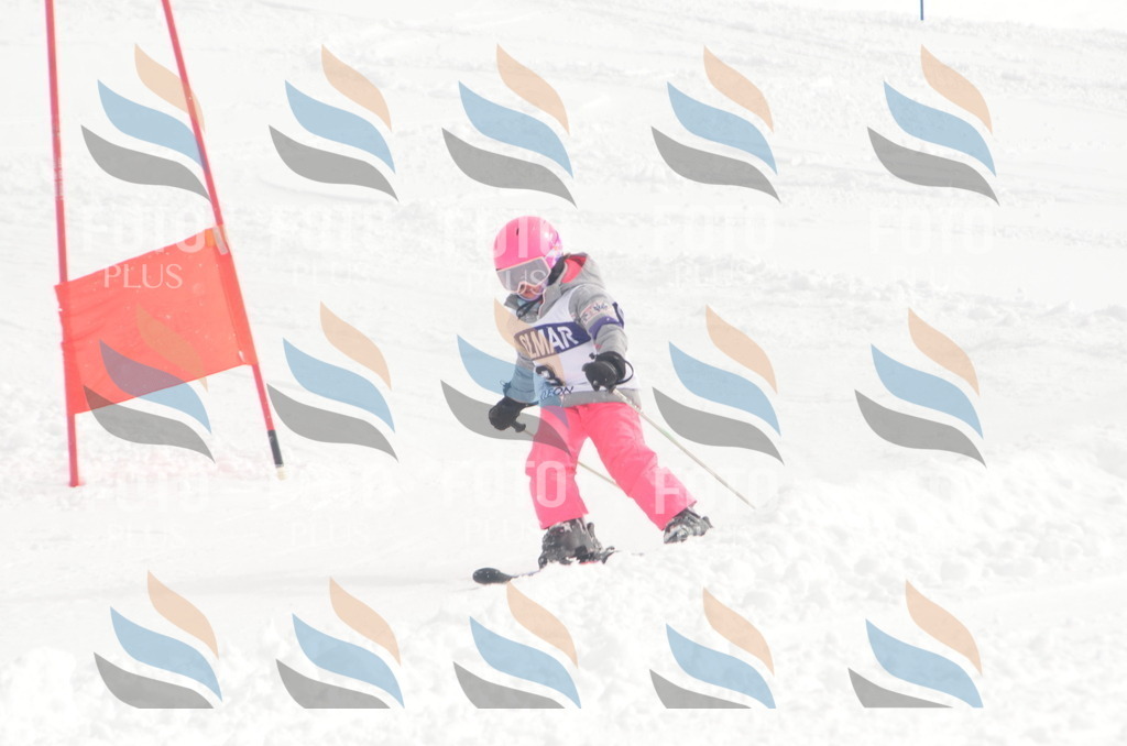 A5003 | holidayphoto