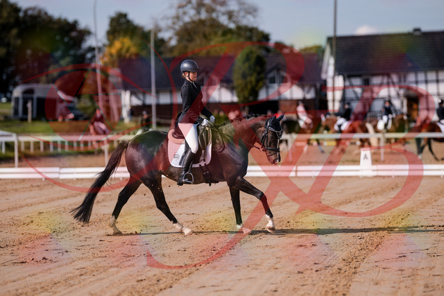 2026_10_03_Siefer-Hof_113739_Z81_80990241 | Professionelle Reitsport-, Turnier- und Eventfotografie von Robert Broda. Galerien mit ausgewählten und bearbeiteten Bildern direkt online ansehen und bestellen.
