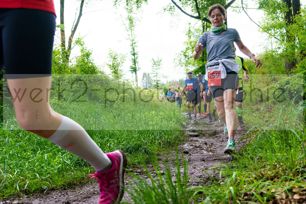 Rennsteiglauf Marathon 2024 | 25. Mai 2024 - 42,2 km von Neuhaus nach Schmiedefeld