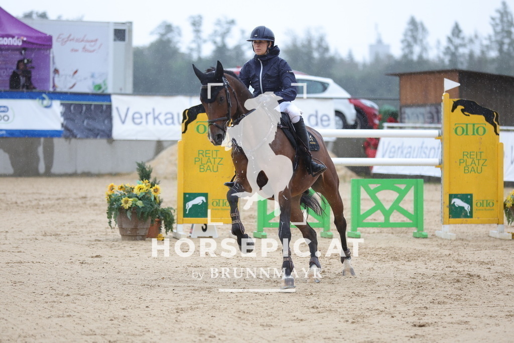 0P6A9840 | Willkommen bei Brunnmayr - Design & Fotografie – Ihrem Spezialisten für Reitturniere und Pferdeveranstaltungen in Oberösterreich, Salzburg und Bayern! Seit über 17 Jahren sind wir leidenschaftlich dabei.