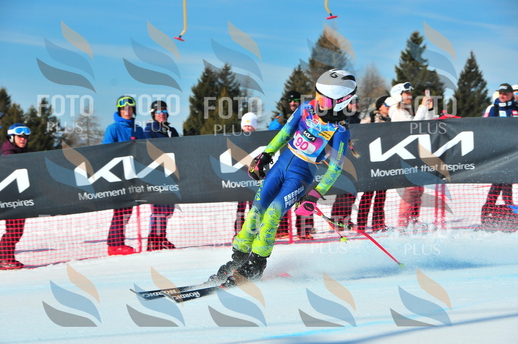 DSC_4493 | holidayphoto