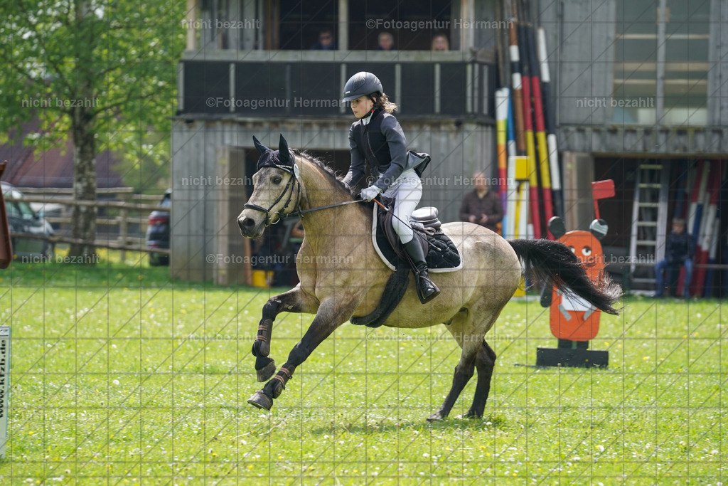 20240509-FAH02328 | Turnierbilder der Turnierfotografen Bayern, Pferdesport Fotografie, Reitsportbilder, Turnier Landberg am Lech, Turnierbilder bayern, Fotoagentur Herrmann