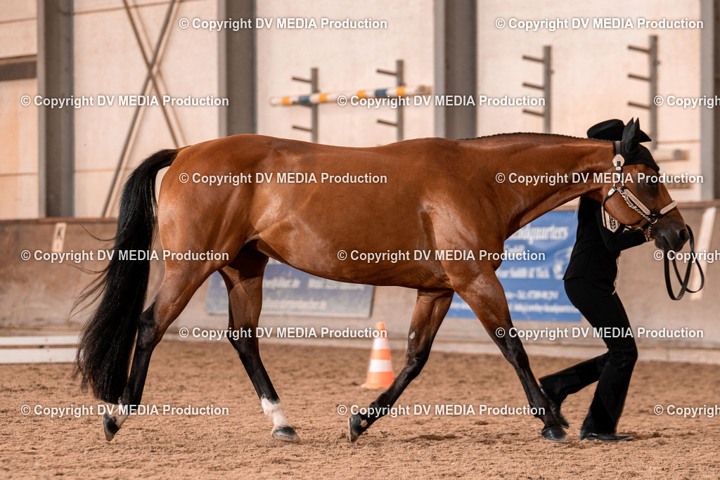 LM Heiligenwald Tag 1-321 | dv-media-shop - Realisiert mit Pictrs.com