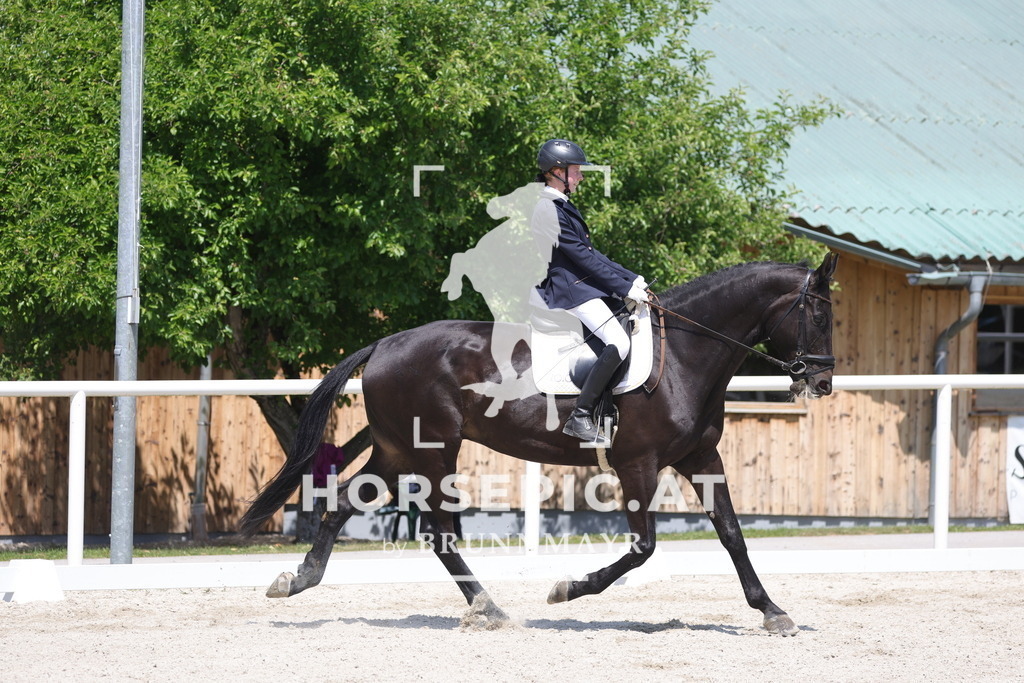 0P6A5961 | Willkommen bei Brunnmayr - Design & Fotografie – Ihrem Spezialisten für Reitturniere und Pferdeveranstaltungen in Oberösterreich, Salzburg und Bayern! Seit über 17 Jahren sind wir leidenschaftlich dabei.