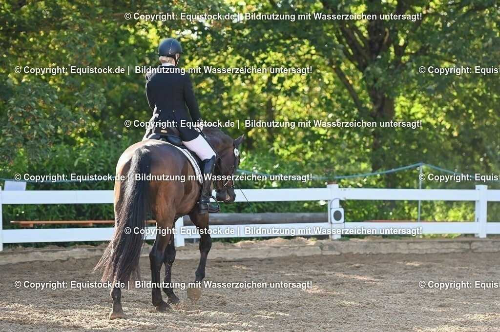 20230715_06_Dressurpferdeprfg. Kl.A_0037 | equistock