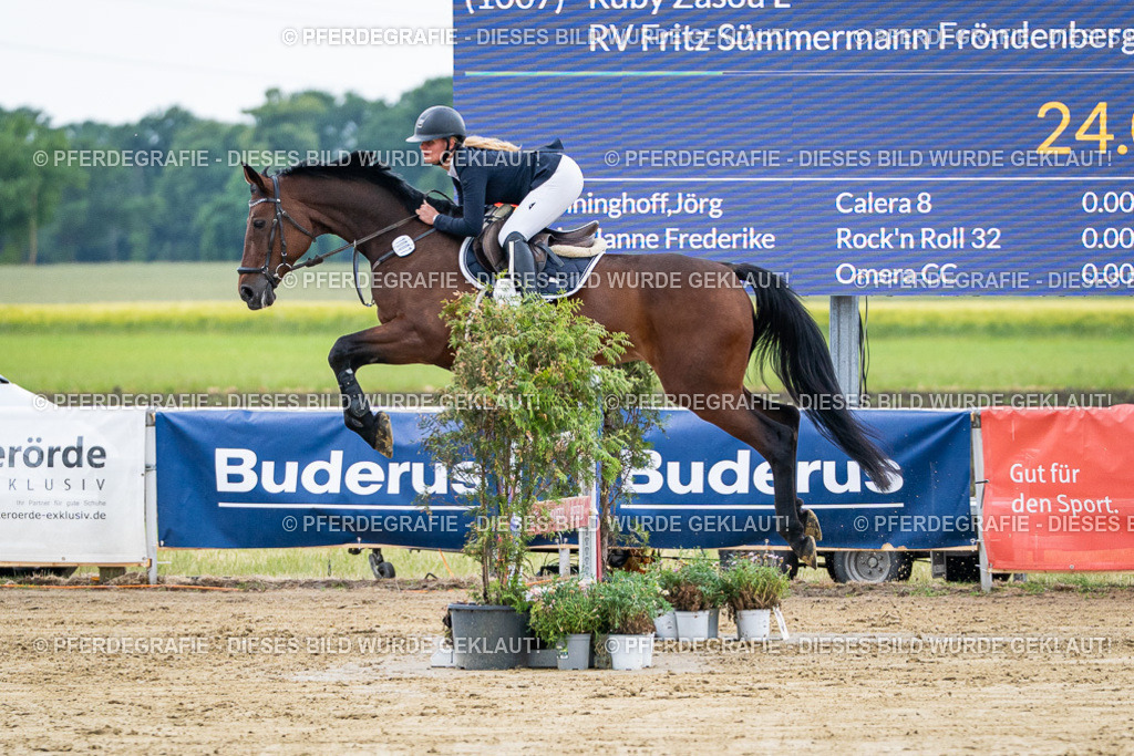 DSC04616 | Pferdegrafie