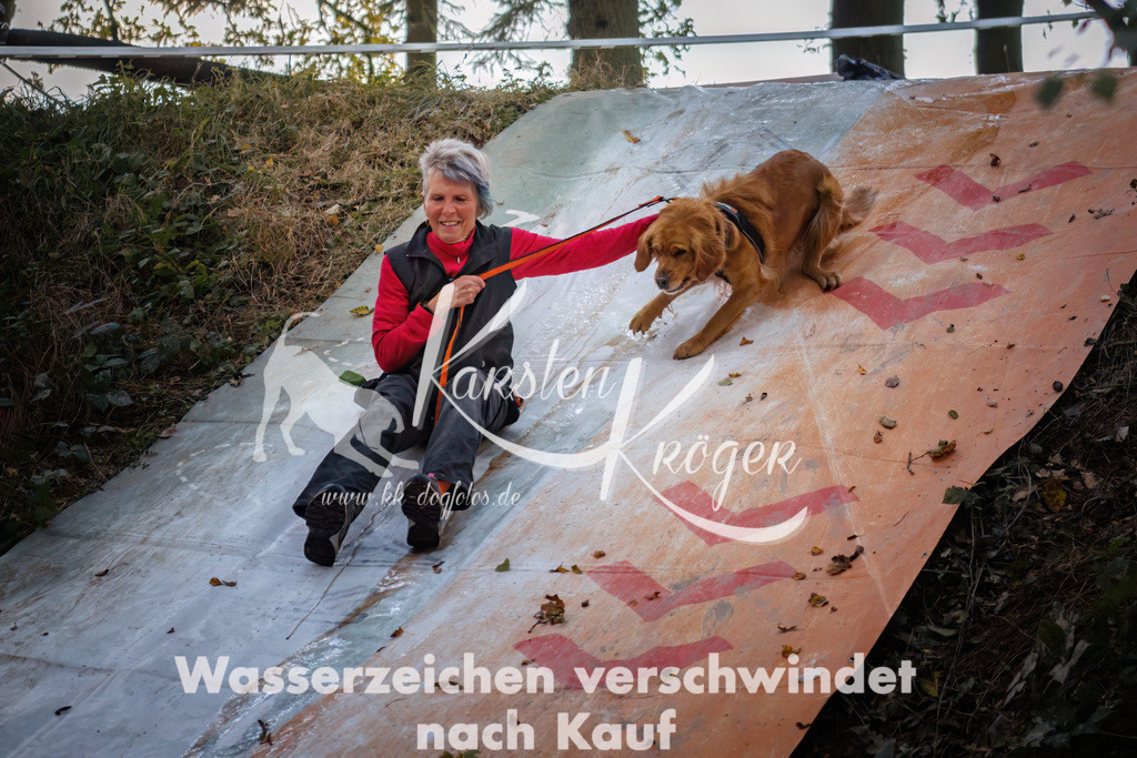 0806_ZZ90069-Bearbeitet | kk-dogfotos