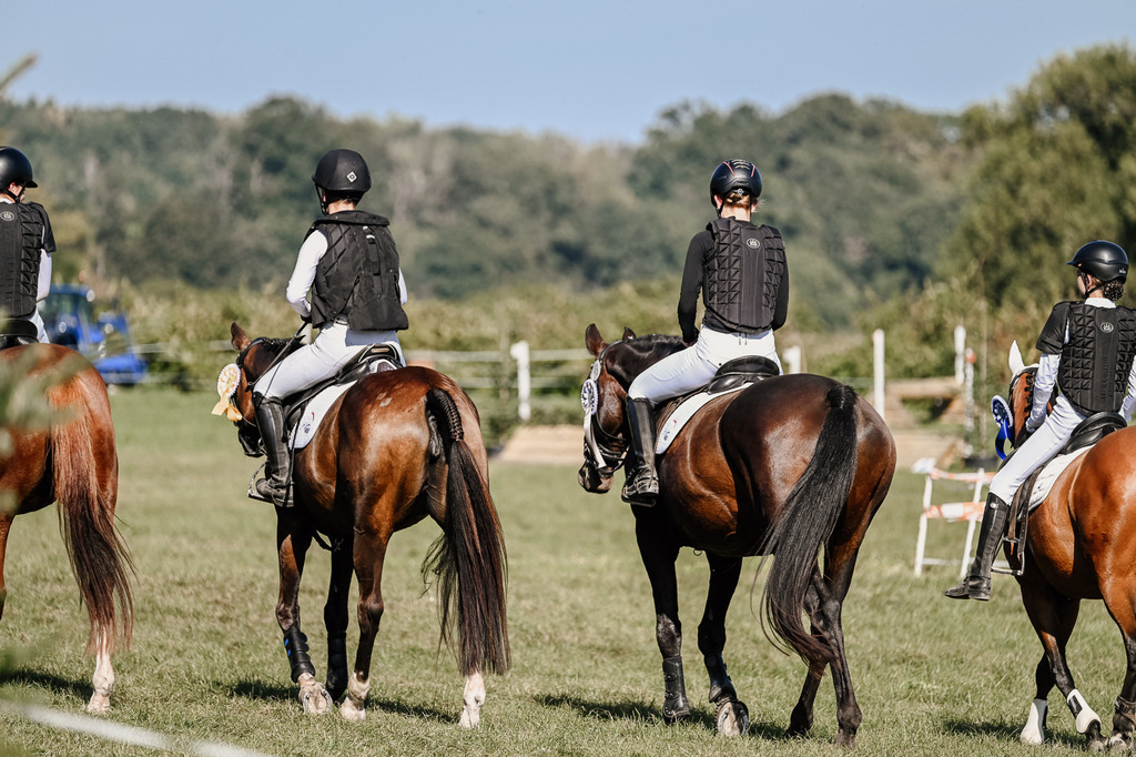DSC_3714 | Pferde- und Turnierfotografie in Westsachsen. Pferdeportraits, Auftragszeichnungen und intuitive Kunst.