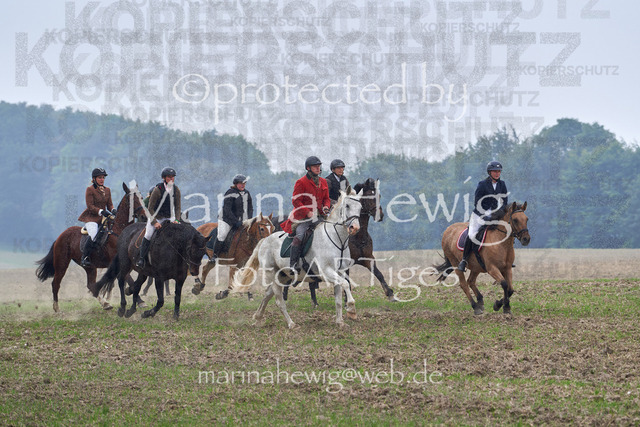 09-23 Jagd Perdöl_MCH9695_Marina Hewig | Fotografie, FotoArt, PferdesportArt, Pferdesportfotografie, Landschaftsfotografie, Reisefotografie, Reise, Pferde - Realisiert mit Pictrs.com