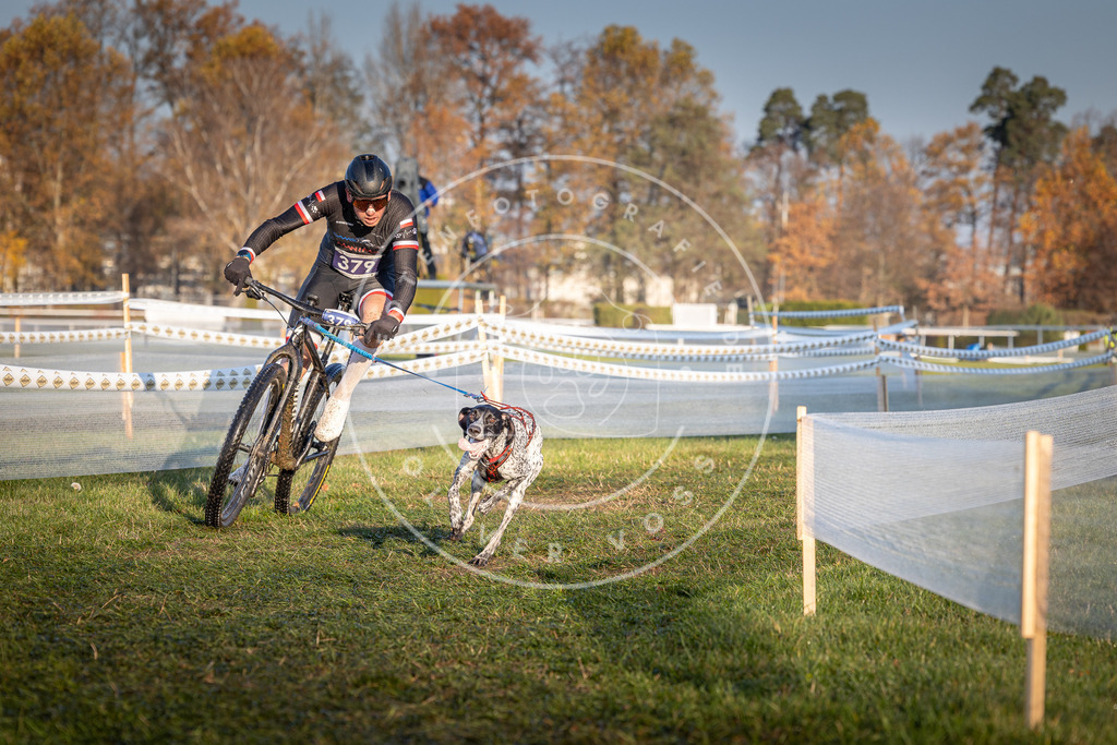 CaniXpix_0L8A3709 | Hundefotografie, Tierfotograf, Pfotenfotografie, Fotoshooting Hund, Hunde Portrait, Hundesport, Hundeportraits, Heideshooting, Hunde, Sportfotograf, Hundefotograf, Turnierhundsport, THS,  - Realisiert mit Pictrs.com