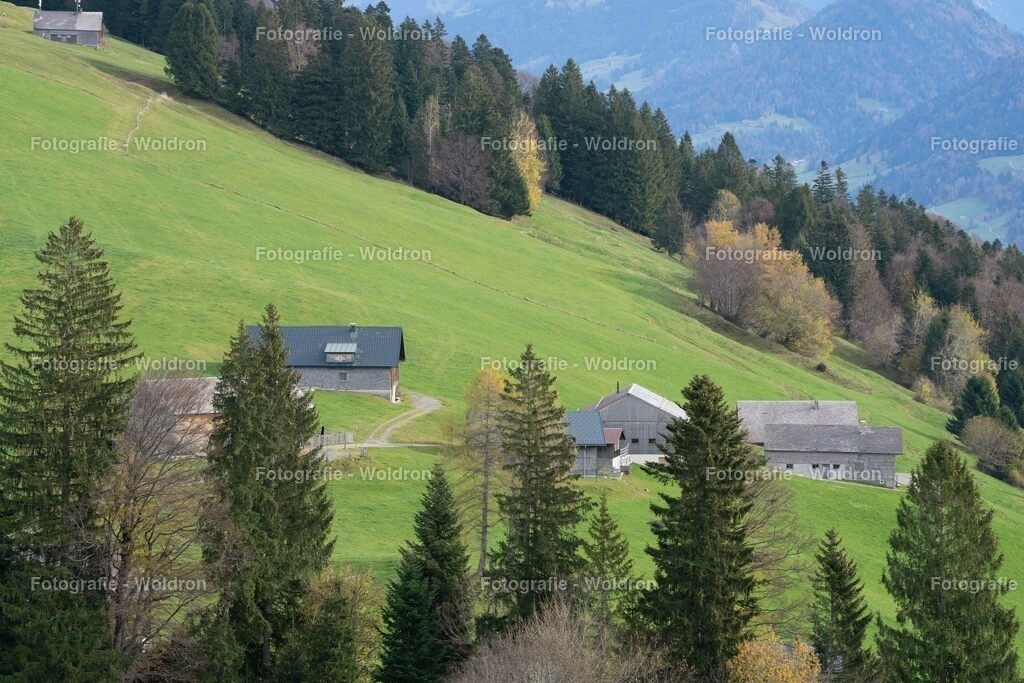 20221111 Amoklauf in Mittelschule Haselstauden | Drei Länder Blick
Bödele