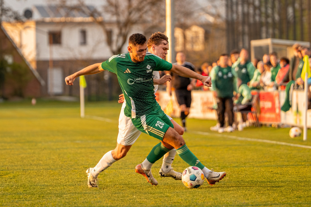 Fußball I Herren I Saison 2025-2026 I Landesliga Weser-Ems I 23. Spieltag I SFN Vechta - BW Lohne II I 00282 | jns.sportfotos - Realisiert mit Pictrs.com