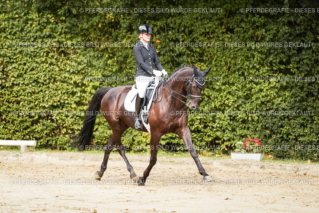 DSC02189 | Pferdegrafie