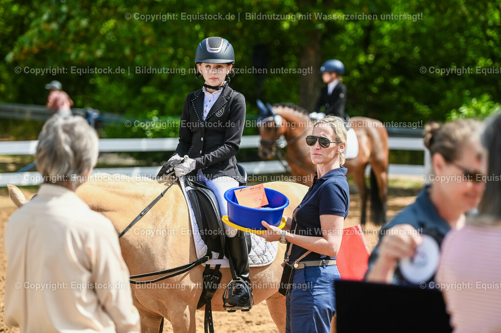 20230716_10-3_Reiter-WB Schritt - Trab - Galopp_0198 | equistock