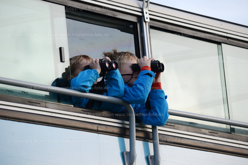 Vogelkieker Freiburg_ELS_4914 | Freiburg an der Elbe - Aufnahmedatum: 25.10.2015, Aufnahmehöhe:  m, Koordinaten:  - , Bildgröße: 7360 x  4912 Pixel - Copyright 2015 by Martin Elsen, Kontakt: Tel.: +49 157 74581206, E-Mail: info@schoenes-foto.deSchlagwörter:Vogelkieker,Bus,Kinder,Vogel,Vögel,Gänse,Nonnengänse,Wildgänse,Zugvögel,Außendeich,KVG,Natur,Wildganstage, Foto - Realisiert mit Pictrs.com