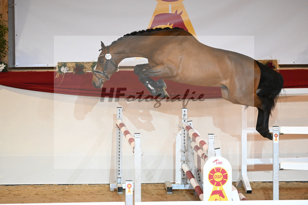 Kat-Nr. 17 Cullinan du Borget_Keitel u Tischer_1230862 | hf-fotografie - Realizzato con Pictrs.com