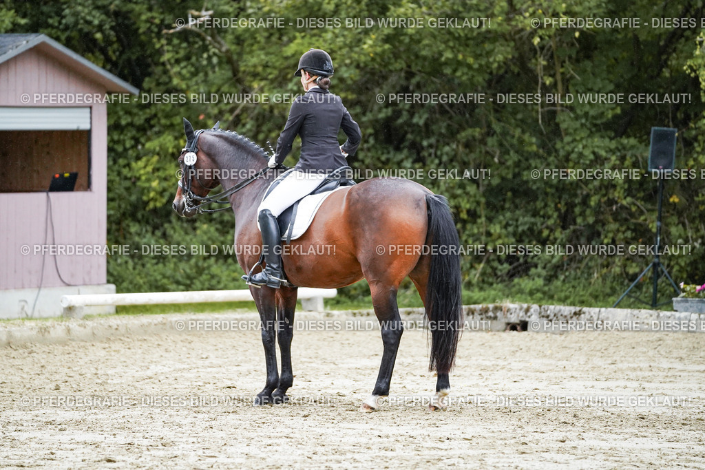 DSC00592 | Pferdegrafie