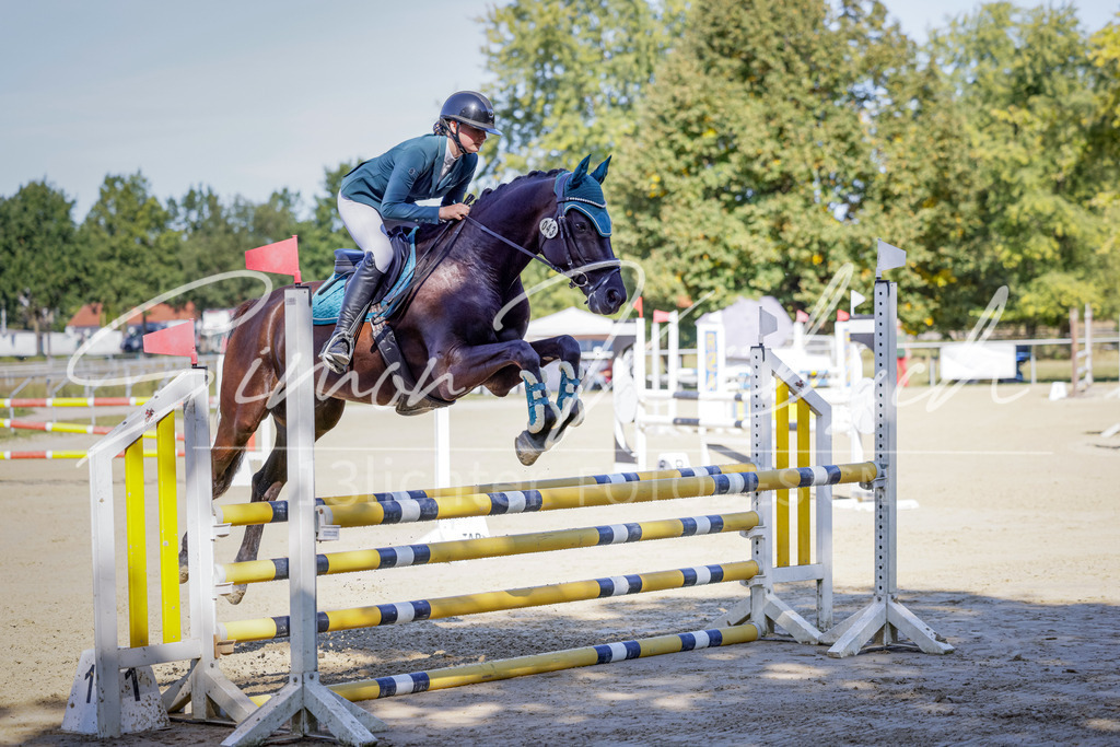 20250906-_3LI3675 | Tierfotografie Pferde, Hunde, Katzen, Haustiere.
Turnierfotografie Reitturniere, Reiten, Springreiten, Dressur in Hanau, dem Main-Kinzig-Kreis und dem Rhein-Main- Gebiet um Frankfurt
