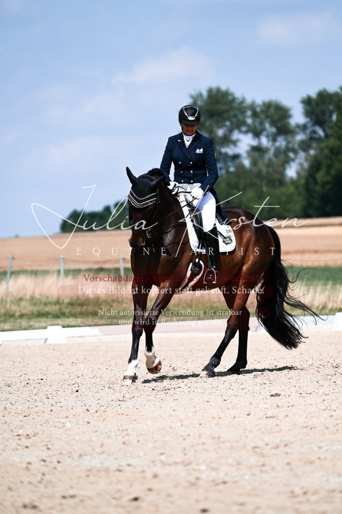 DSC_2905 | Pferde- und Turnierfotografie in Westsachsen. Pferdeportraits, Auftragszeichnungen und intuitive Kunst.