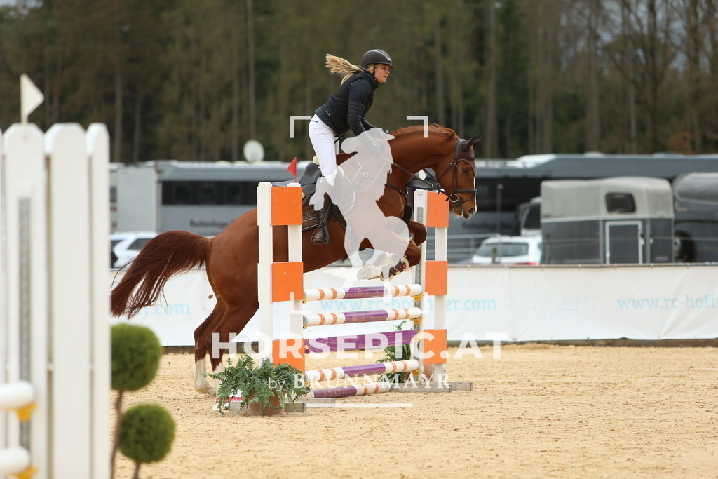 DL2Q2115 | Willkommen bei Brunnmayr - Design & Fotografie – Ihrem Spezialisten für Reitturniere und Pferdeveranstaltungen in Oberösterreich, Salzburg und Bayern! Seit über 17 Jahren sind wir leidenschaftlich dabei.