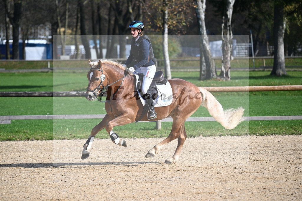 Kat-Nr. 10 Napoleon Bonaparte_Blum_44240660 | hf-fotografie - Realisiert mit Pictrs.com
