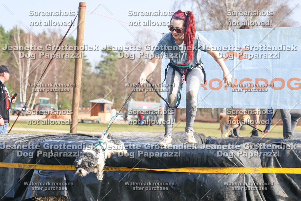 Dog Paparazzi - Strongdog North Mrz26-2215 | Dog Paparazzi Jeanette Grottendiek Fotografie & Videografie - Realisiert mit Pictrs.com
