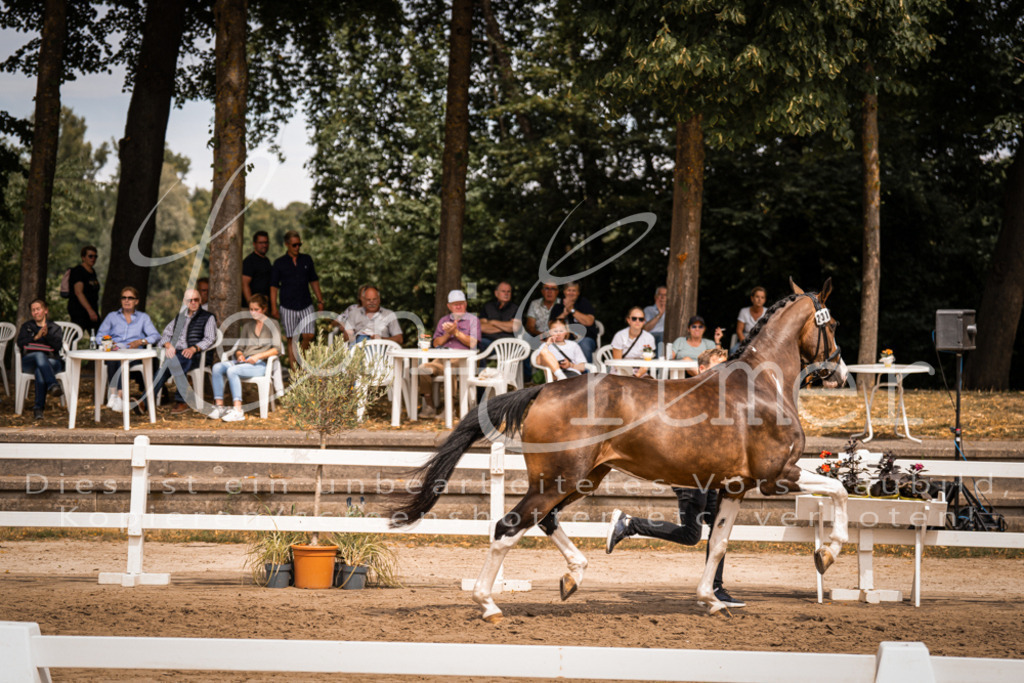 3.Fr00176 | Leoni Ertmer Photography - Realisiert mit Pictrs.com