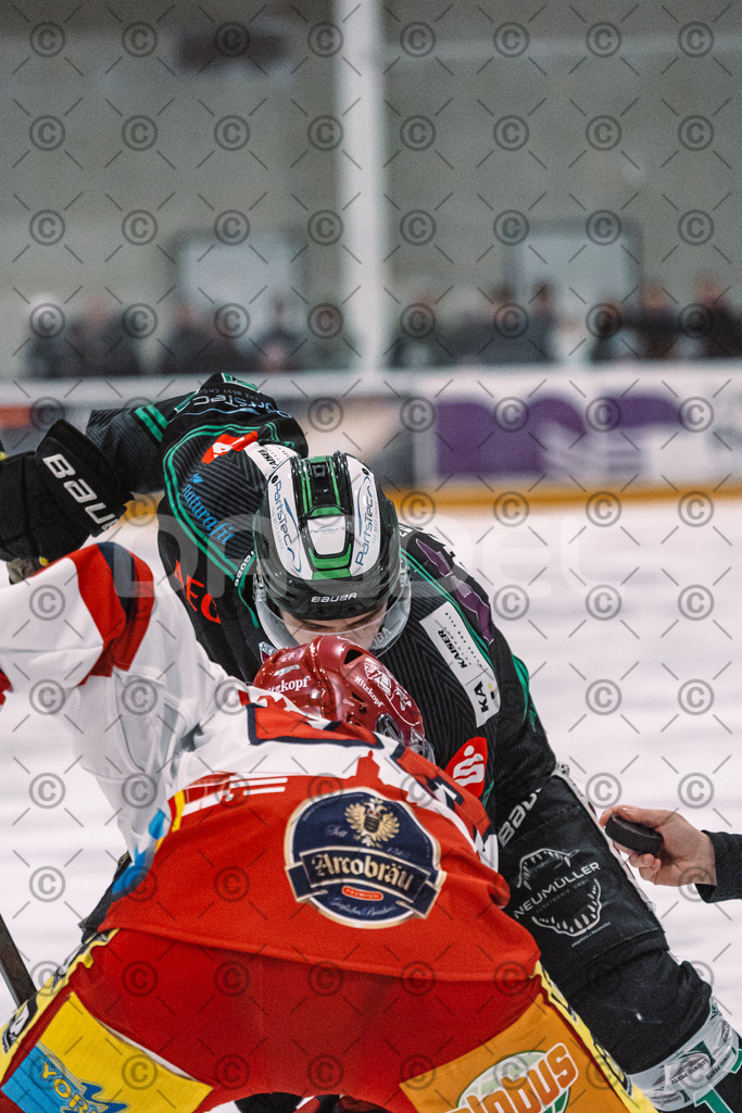 Alligators_vs_Deggendorf_23_01_2026-34 | Höchstadt Alligators Fotogalerie: Eishockey-Action aus Franken. Professionelle Spielfotos, Portraits & Stadionbilder zum Download. Jetzt entdecken! - Realisiert mit Pictrs.com