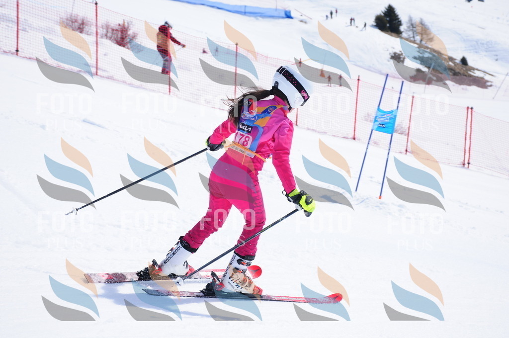 DSC_5555 | holidayphoto