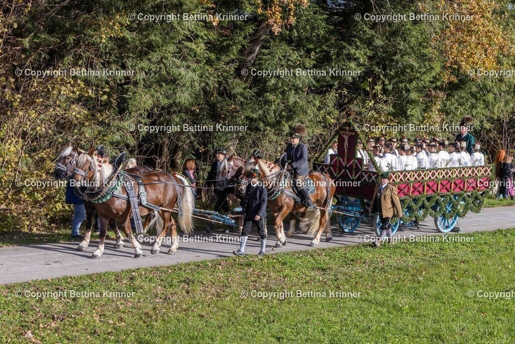 LBT24-236 | foto-bettina-krinner - Realisiert mit Pictrs.com