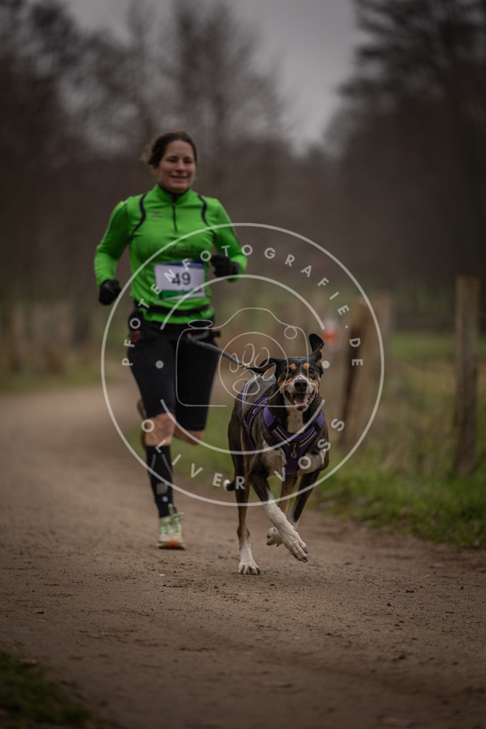 Pfotenfotografie_DV3A2796 | Hundefotografie, Tierfotograf, Pfotenfotografie, Fotoshooting Hund, Hunde Portrait, Hundesport, Hundeportraits, Heideshooting, Hunde, Sportfotograf, Hundefotograf, Turnierhundsport, THS,  - Realisiert mit Pictrs.com