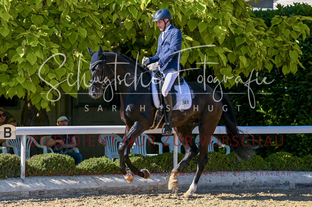 Schugtsche-Aluta25-50.Dressurpferdeprf.L-243 | Schugtsche Fotografie - Realisiert mit Pictrs.com