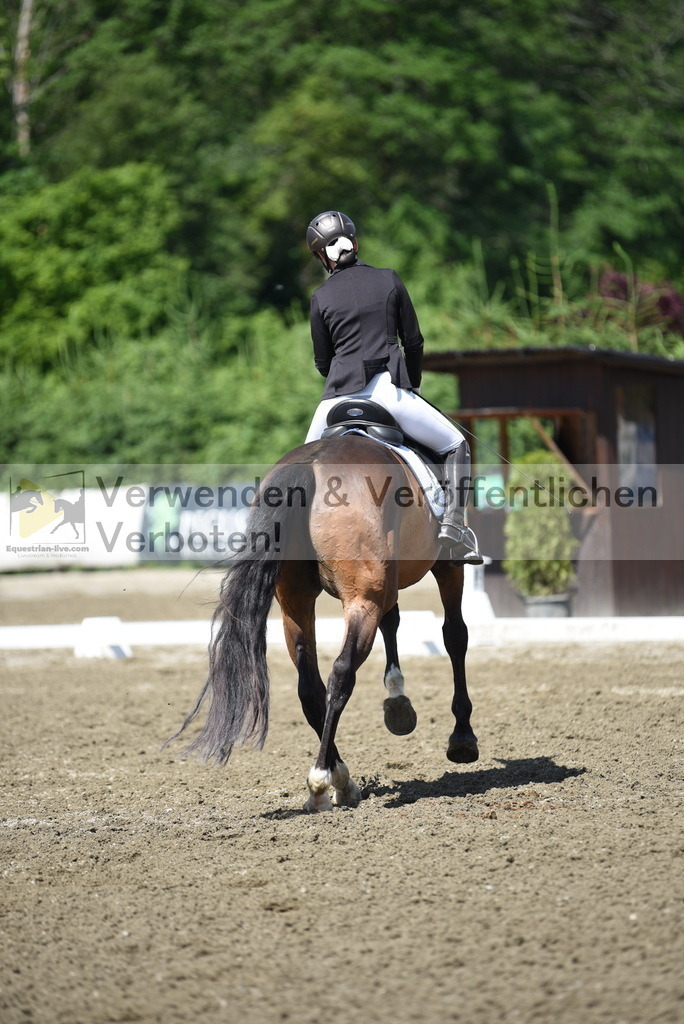 DSC_0363 | equestrian-live-com