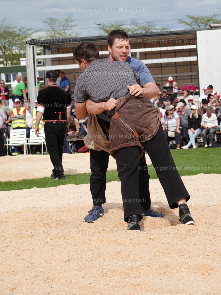DSC06423 | Schwingen - Realisiert mit Pictrs.com